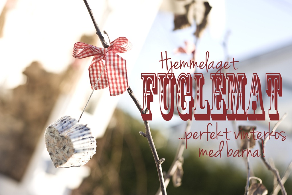 [hjemmelaget%2520fuglemat%2520IMG_1705%255B4%255D.jpg]