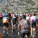TRENCAGARRONS 2011-026.jpg