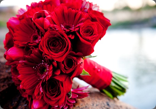 0371_fxc3921 jan dekker