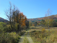 SAM_6712.JPG Photo