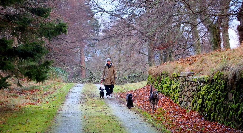 [1%2520Jan%25201%255B3%255D.jpg]