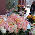 R0028037.JPG