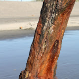 IMG_8314.JPG