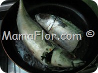 IMG_2663 IMG_2663