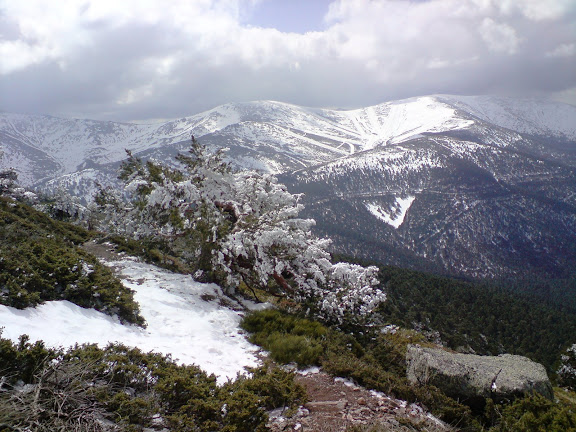Primavera o Invierno
