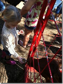 IMG_2264 IMG_2264