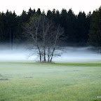20091120 Allgaeu 0581 [640x480].JPG