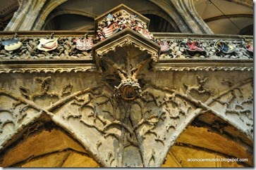 DSC_0198 DSC_0198