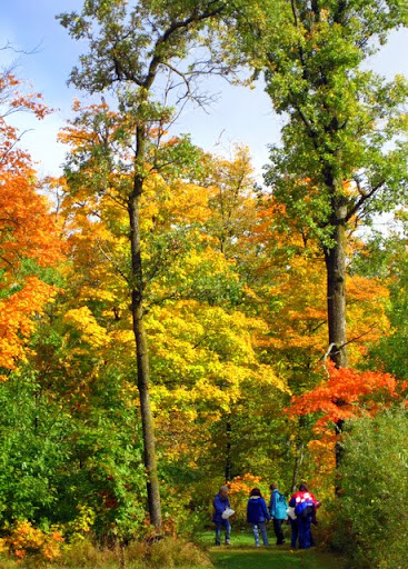 Friends of Judy's painting retreat enjoying the eary color walking on the ski trails