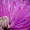 IMG_7573.jpg