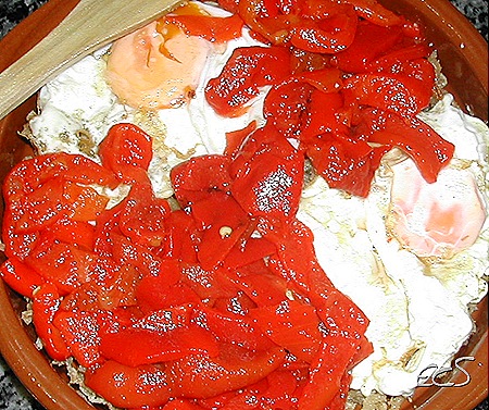 DSCN2542 DSCN2542