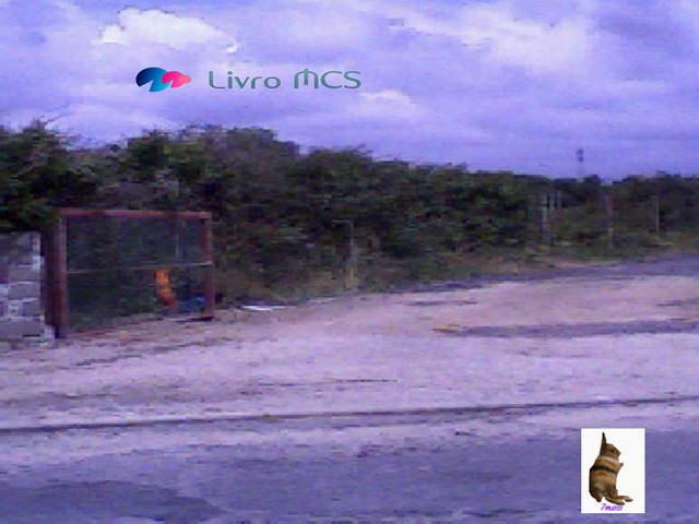 [Bolg%2520Gazeta%2520de%2520Espinho007%2520Livro%2520MCS%255B2%255D.jpg]