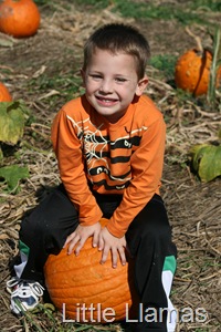 [IMG_0948%255B4%255D.jpg]