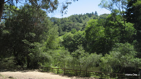 IMG_3745.jpg