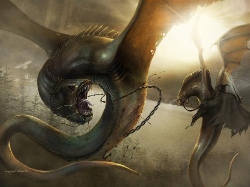 Snake Dragons, Dragons