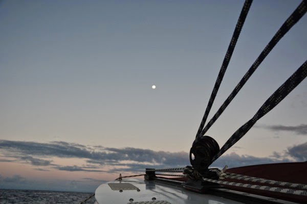 DSC_3745.JPG DSC 3745
