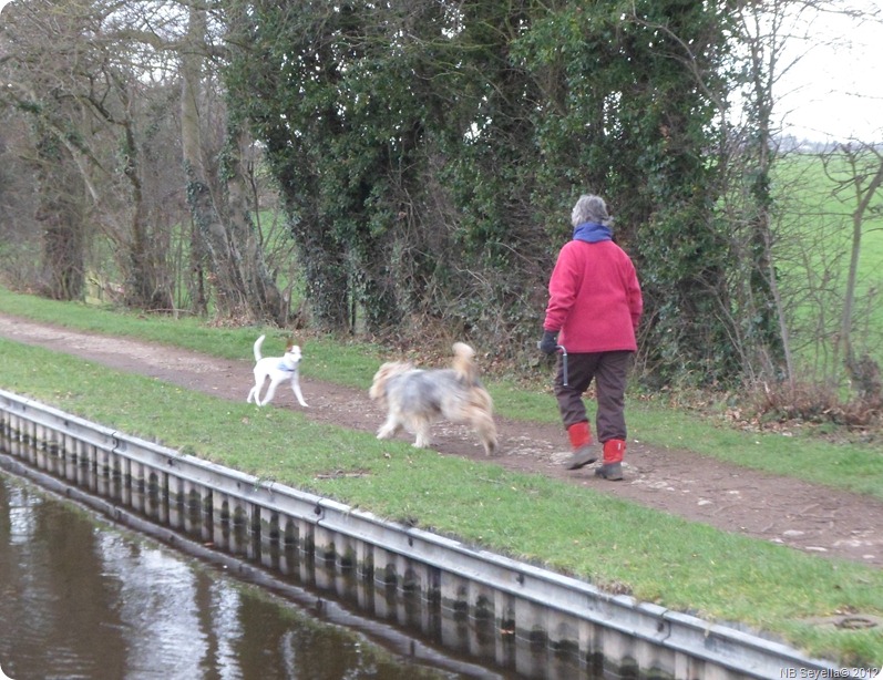 SAM_0001 From Grindley Brook