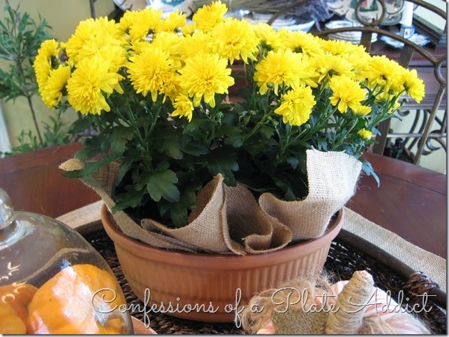 CONFESSIONS OF A PLATE ADDICT Terracotta and Pumpkins Fall Centerpiece