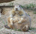 National Zoo in August