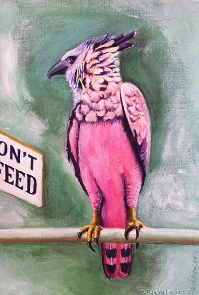 Dont Feed this bird © Evelyn Howard 2011 Dont Feed this bird © Evelyn Howard 2011
