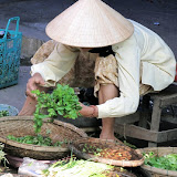 RTW Vietnam 2010