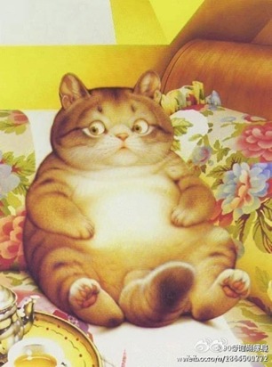 fat cat