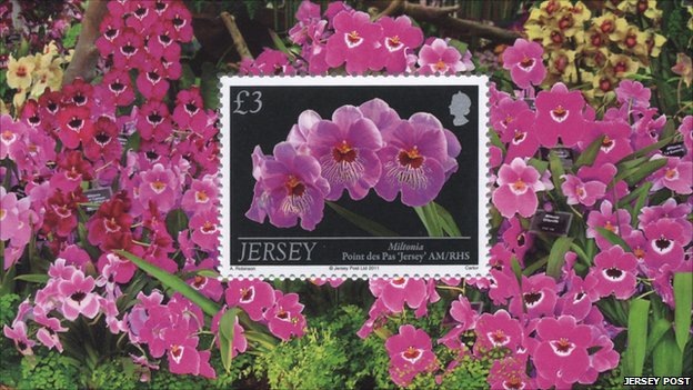 [jersey%255B4%255D.jpg]