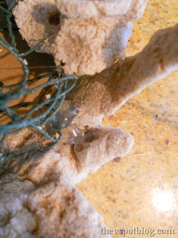 [DSCN4107%255B6%255D.jpg]