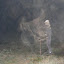 DSCF0150.jpg