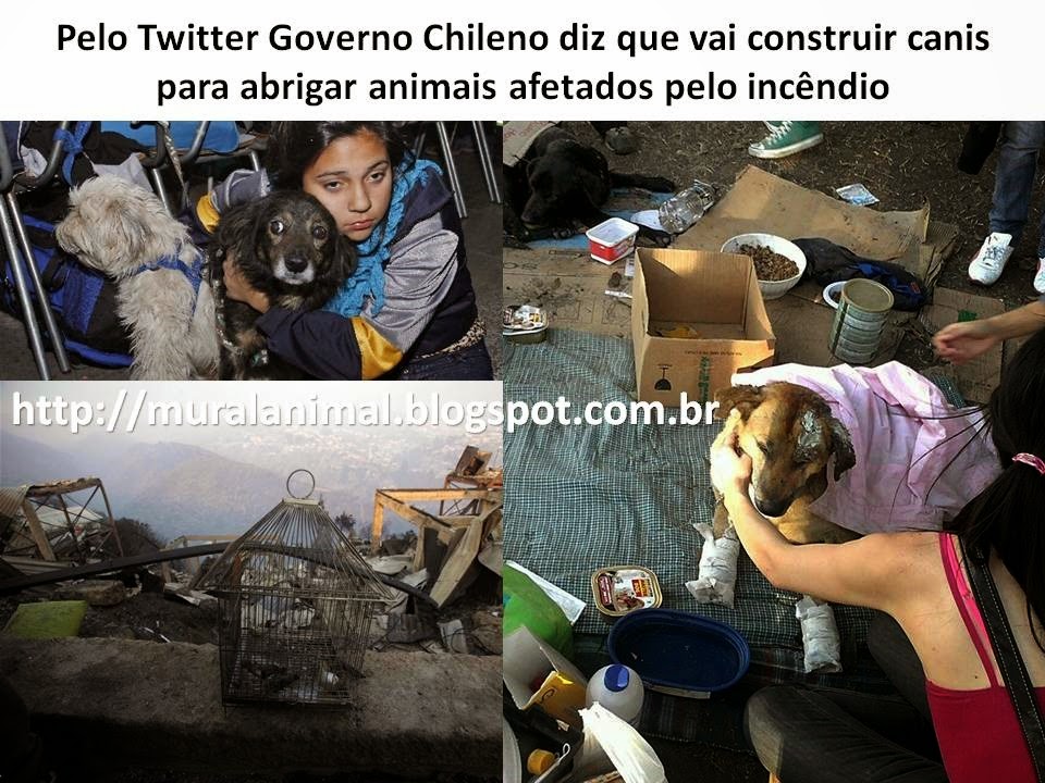 [Slide2%255B3%255D.jpg]