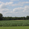 Uitzicht over de maisvelden - www.LandgoedDeKniep.nl