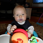 SAM_0825.JPG