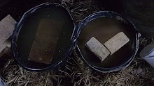 100_2821.JPG