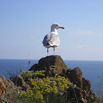 МЕГАНОМ 2007 019.jpg