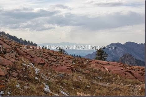 DSC_0860 DSC_0860