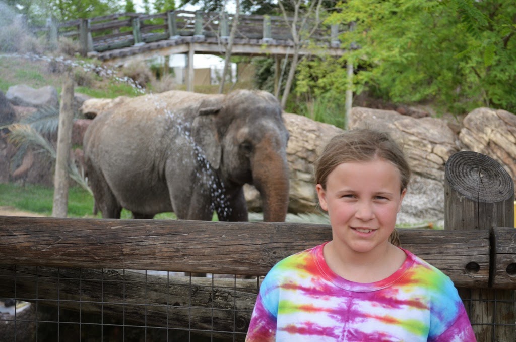 [DSC_8917%255B3%255D.jpg]