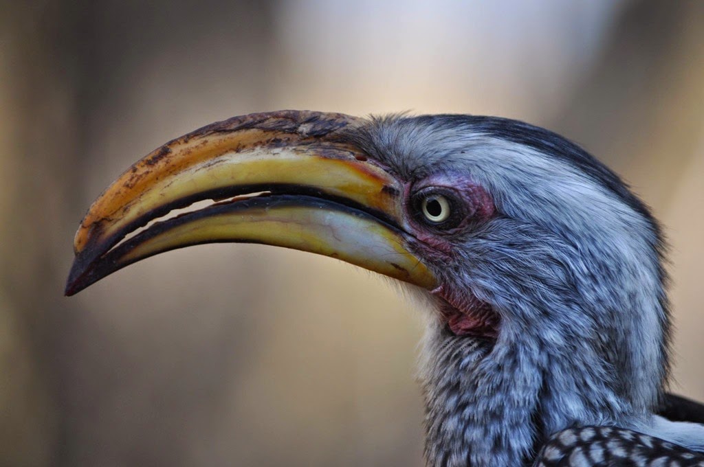 [10530483_10153128564731165_2641609986103840548_o%255B4%255D.jpg]