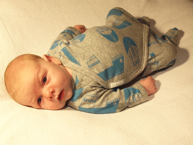 5wks 5.