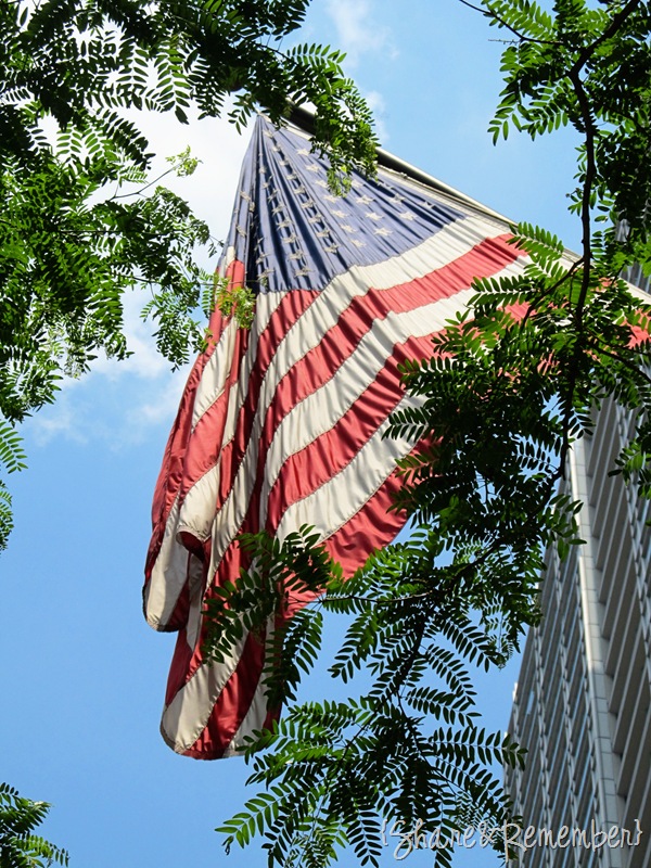 [flag5.jpg]
