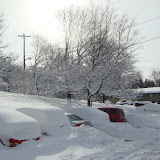 Blizzard TwentyTen - DSC08587.JPG