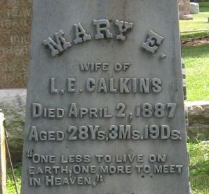 [WhiteBronze_Jenkins2%255B3%255D.jpg]