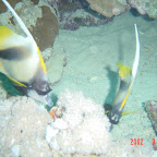 DSC00114.JPG