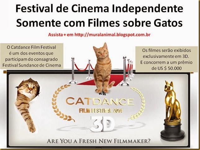 Festival de Cinema Independente