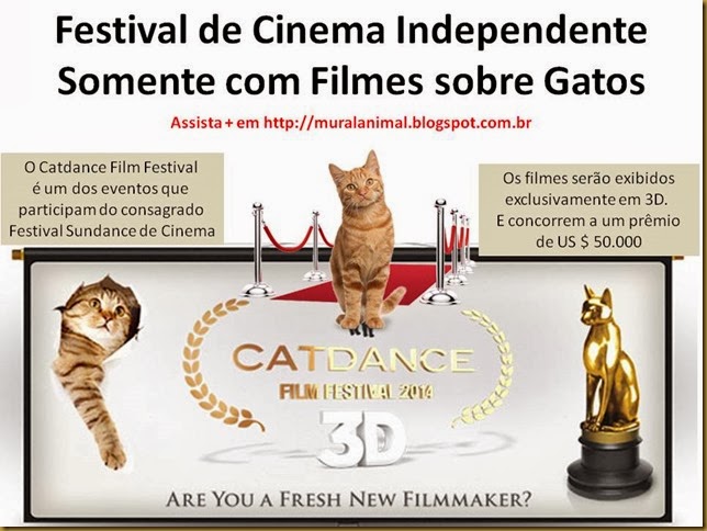 Festival de Cinema Independente Festival de Cinema Independente