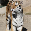 IMG_7693.JPG