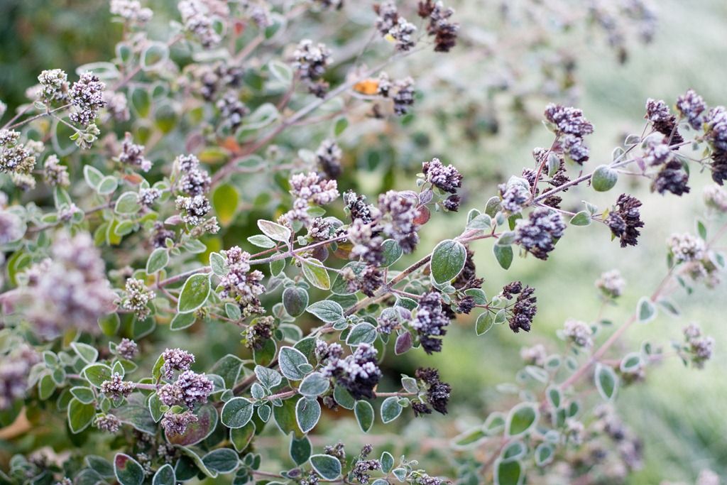 [20111106-IMG_84744.jpg]