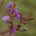 P1010764
