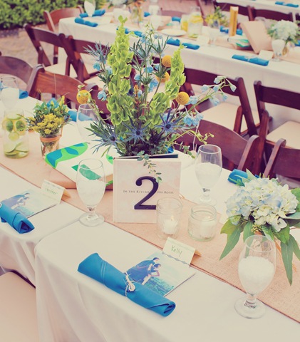 [Tablescapeblueandgreenwithburlaprunner%255B7%255D.jpg]