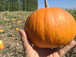 IMG_5663.JPG
