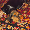 DSCN2501.JPG